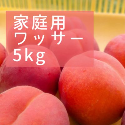 新鮮な桃 5kg 先行予約】もも 桃 川中島 約5kg 令和7年産 2025年産 果物 ja